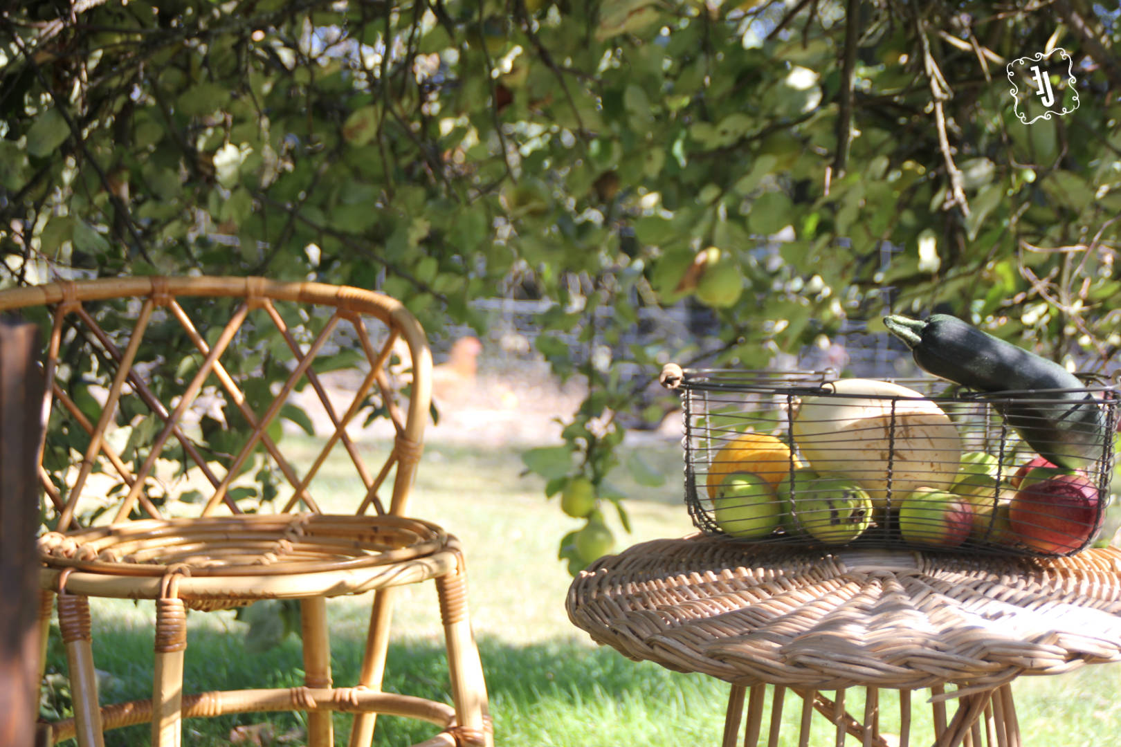 chaise et table en rotin